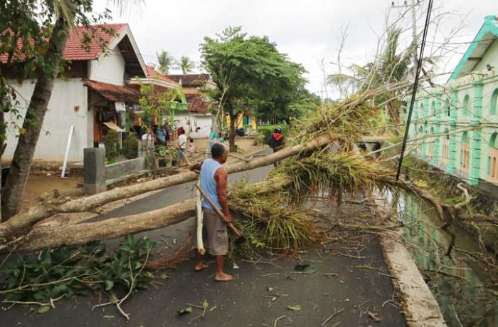 Waspada Kemarau Basah, Bencana Mengintai 