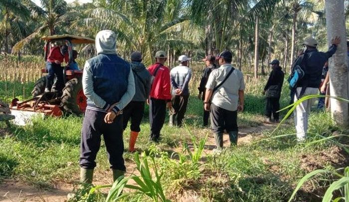 Eksekusi Lahan PTPN XII Pasewaran Banyuwangi Dihadang Puluhan Warga