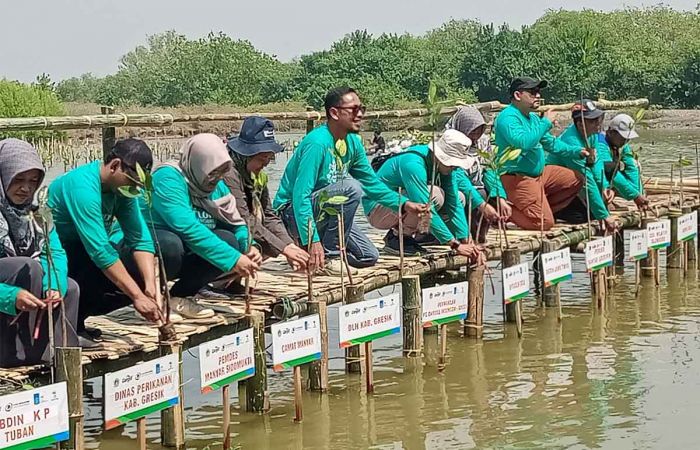 Selain Tanam 16.000 Bibit, Cargill Resmikan Arboretum Mangrove di Kalimireng Gresik