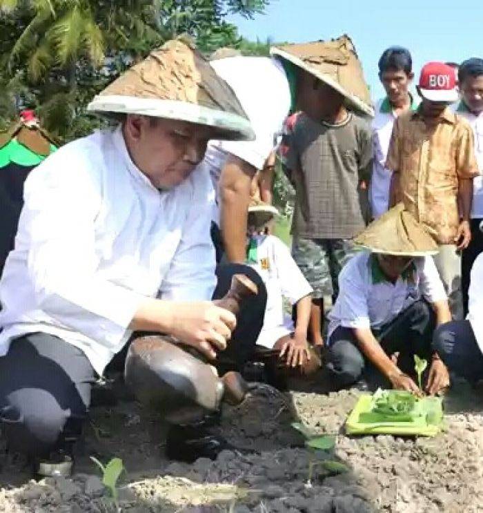 Musim tanam Tembakau Dimulai