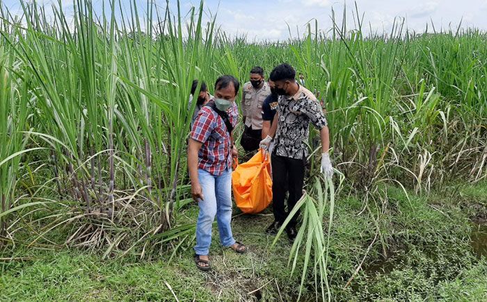 Menghilang 3 Hari, Pria di Kediri Ditemukan Tewas dengan Tubuh Membiru di Tengah Kebun Tebu