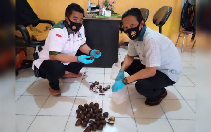 Pelaku Penyelundupan Pil Koplo Menggunakan Buah Salak ke Lapas Jombang Ditangkap