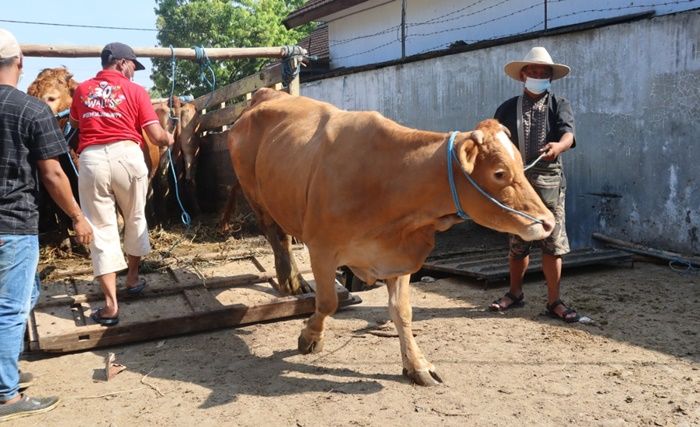 PMK Merebak, Pemkab Blitar Belum Rencanakan Penutupan Pasar Hewan