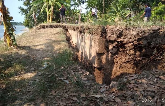 Bantaran Bengawan Solo di Lamongan Longsor Lagi, Warga Desa Keduyung Resah