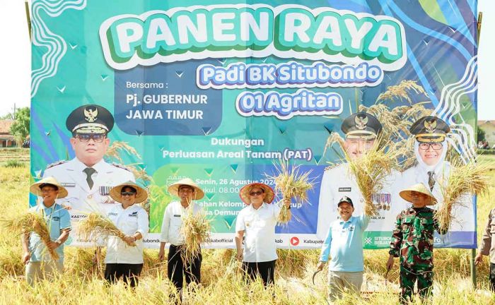 Pj Gubernur Jatim Panen Raya Padi Varietas BK 01 Agritan di Situbondo