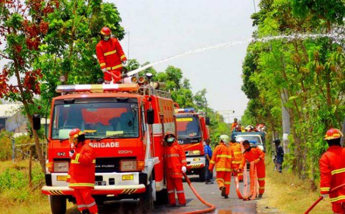 Kebakaran di Musim Kemarau Tinggi, BPBD Bojonegoro akan Tambah 3 Mobil Damkar