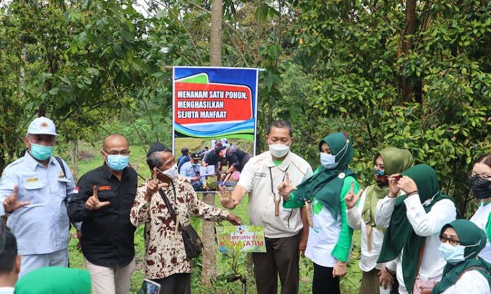 Lestarikan SDA, ​Perempuan Tani HKTI Gelar Aksi Tanam Pohon di Lereng Gunung Bromo dengan Katapel