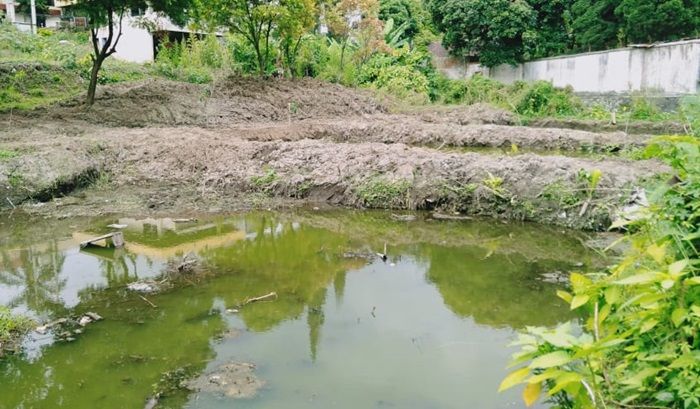 DLH Kota Batu Bangun Tiga Kolam Ramah Lingkungan untuk Budi Daya Ikan yang Hampir Punah