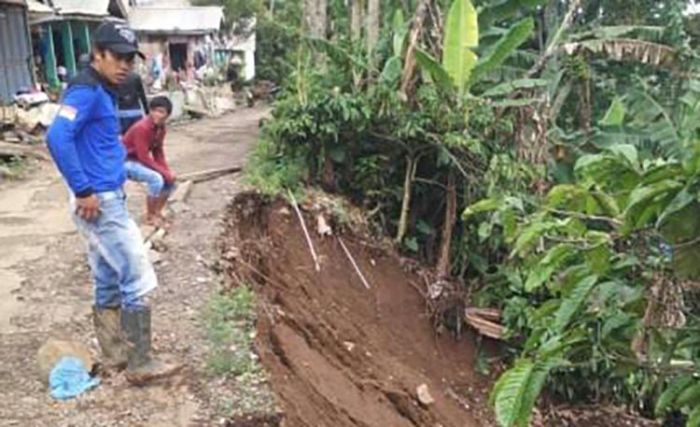 Musim Penghujan, Dataran Tinggi di Probolinggo Rawan Longsor