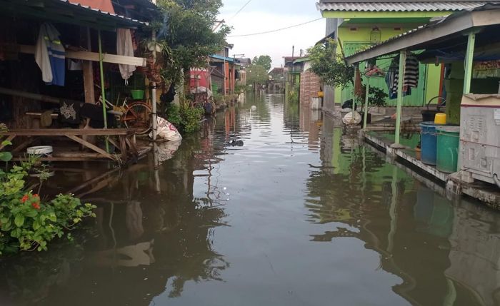 Ribuan Rumah Warga Beji Pasuruan Terendam Banjir Usai Diguyur Hujan Deras