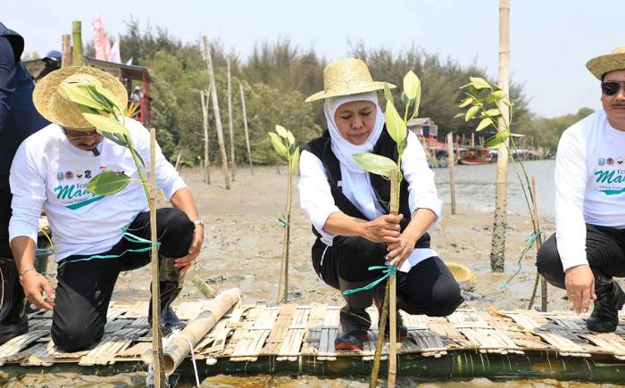 Wujudkan NZE 2060, Gubernur Khofifah Gelar Festival Mangrove ke-V di Romokalisari Adventure Land