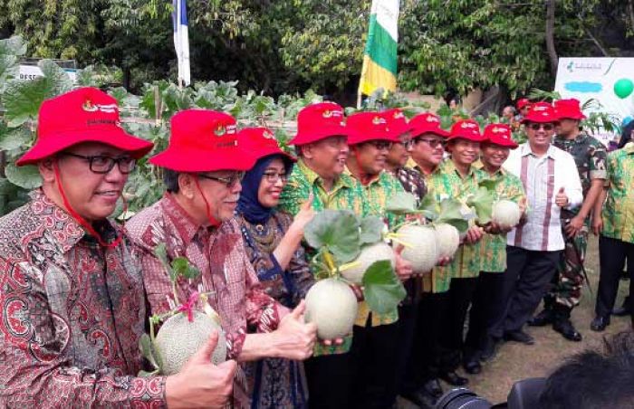 PAE PG 2017 Teken Kerjasama Riset Dengan BPPT Serpong