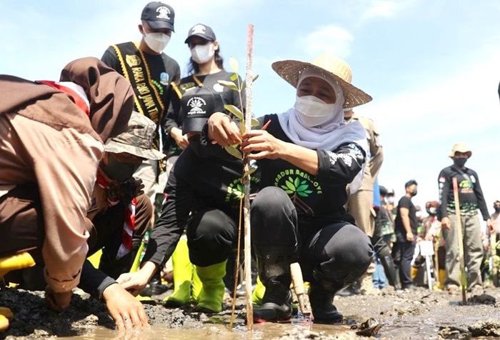 Tanam Mangrove di Pantai Bohay Probolinggo, Gubernur Khofifah Ajak Dalami Filosofi Sunan Kalijaga