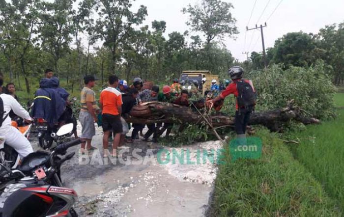 Puting Beliung Mengancam Bojonegoro, Warga Diminta Waspada