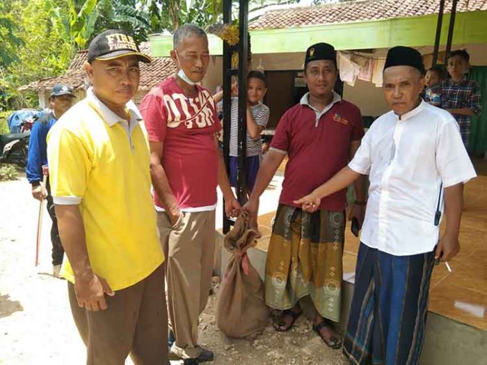 Gercep! Damkar Pamekasan Tangkap Kera Liar yang Resahkan Warga