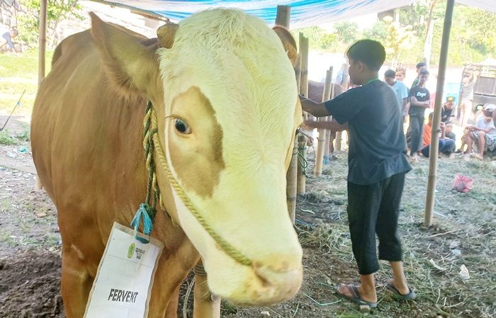 Sembelih 292 Hewan Kurban, Ketua LDII Mojokerto: Bernilai Ketakwaan dan Memupuk Solidaritas Sosial