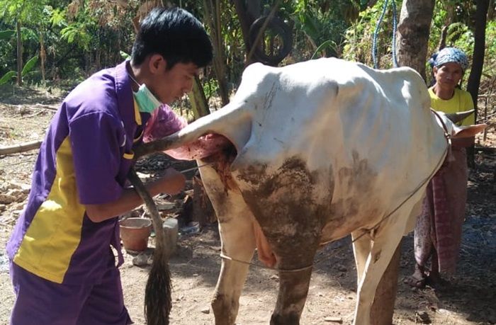 Pemkab Pasuruan Terus Lakukan Upaya Peningkatan Pendapatan Peternak