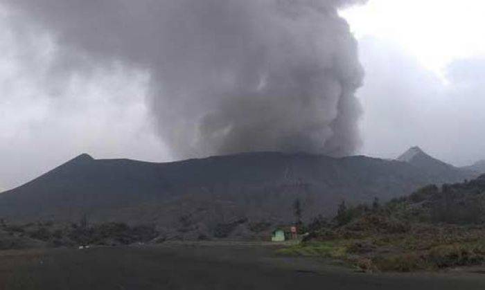 Status Gunung Bromo Dinaikkan Siaga, Pengunjung Dilarang Masuk Radius 2,5 Km