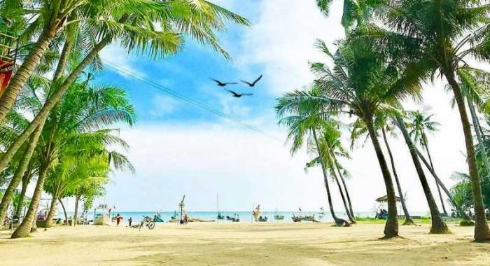 Keindahan Pohon Kelapa Hiasi Pantai Pesisir Utara Tuban, Berikut Jam Buka dan Harga Tiket Masuknya