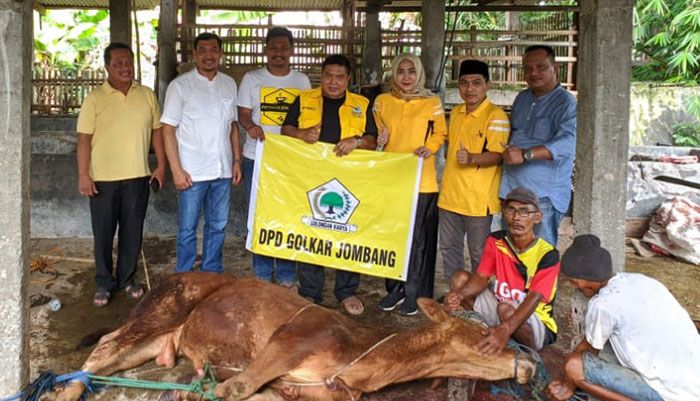 Idul Adha 1443 H, DPD Golkar Jombang Bagikan 600 Paket Daging untuk Masyarakat