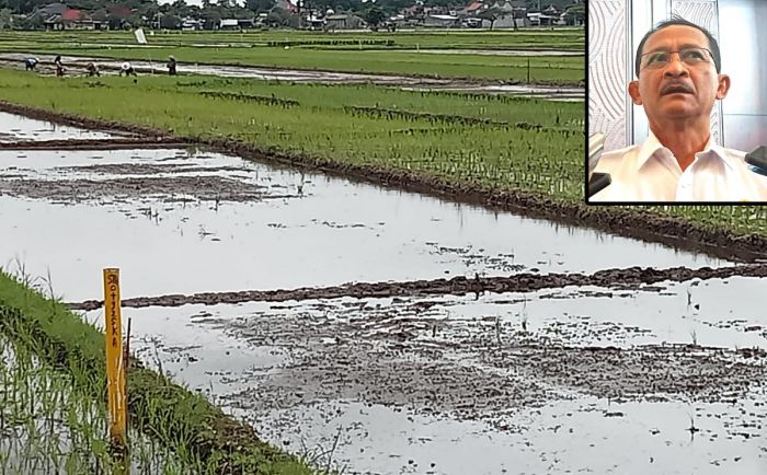 Pembangunan Ruas Tol Tulungagung-Kediri Segera Dimulai, Penlok Ditarget Rampung Akhir Tahun