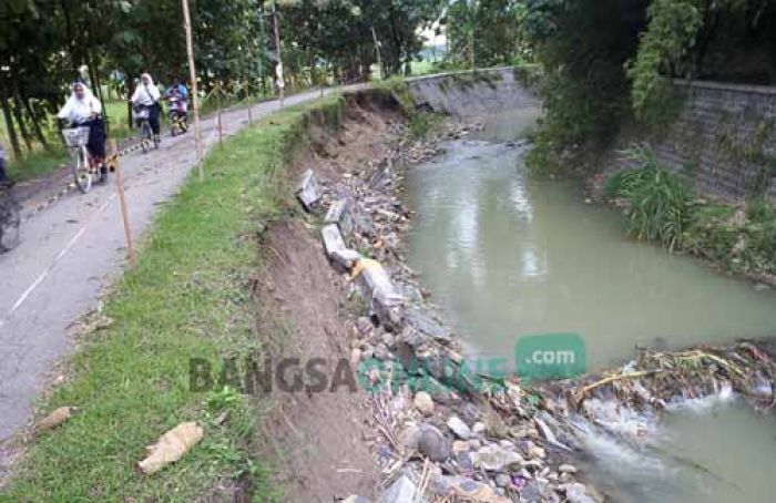 Ambrol, Plengsengan Sungai Marmoyo di Kedungjati Kemungkinan Tak Diperbaiki Tahun ini