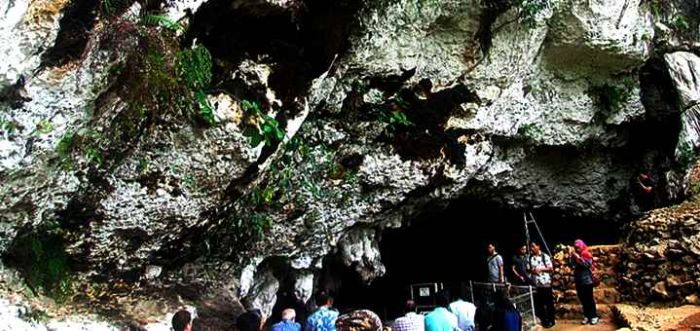 Sarang Walet Tembus Puluhan Juta Rupiah, Tapi Pemkab Pacitan Tak Lagi Kelola Goa Pesisir Pantai 