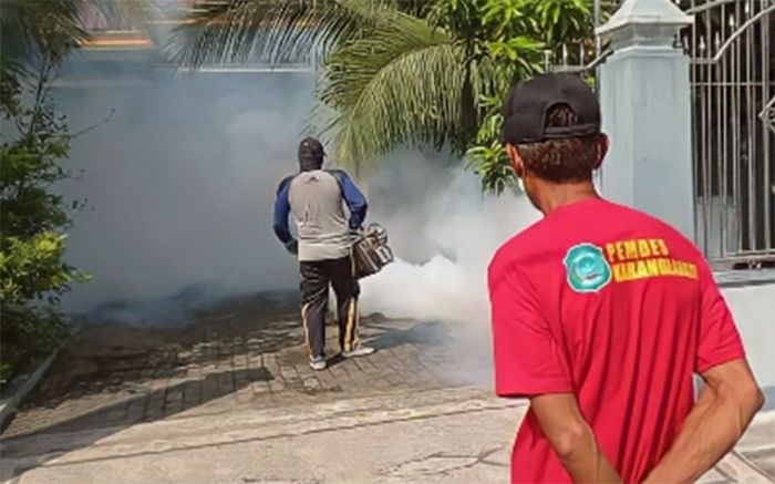 Antisipasi DBD dan Covid-19, Pemdes Karang Langit Lakukan Fogging dan Penyemprotan Disinfektan