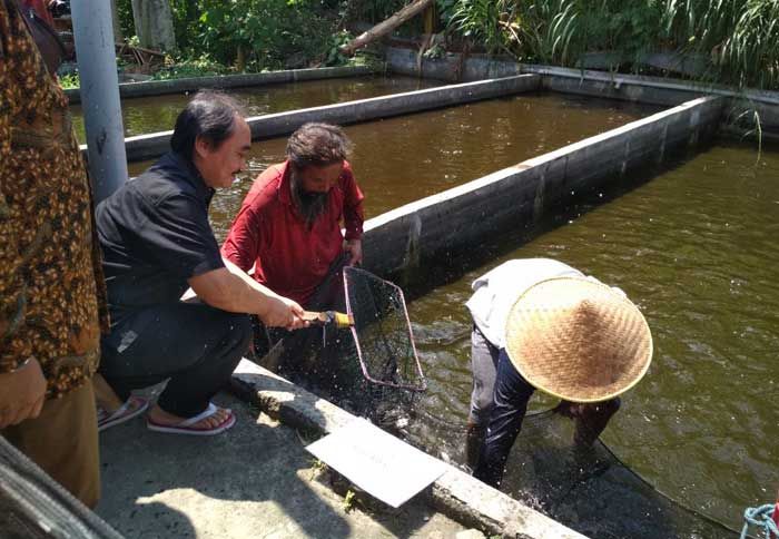 Kemenaker Tinjau Mantan Pekerja Migran yang Sukses Budidaya Ikan