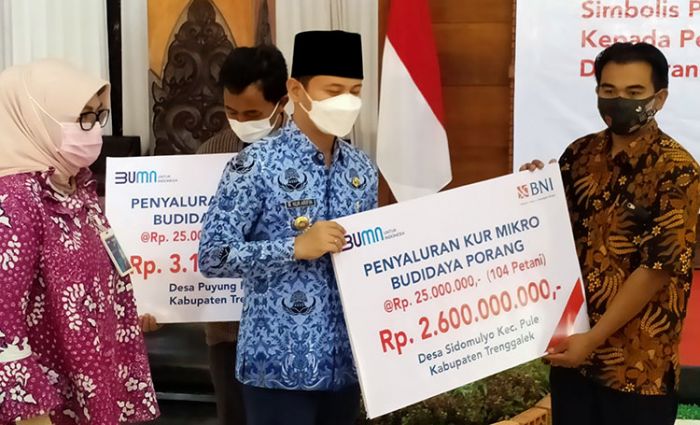 Tanpa Agunan, 228 Petani Porang di Trenggalek Terima Modal Rp 5,7 Miliar dari BNI