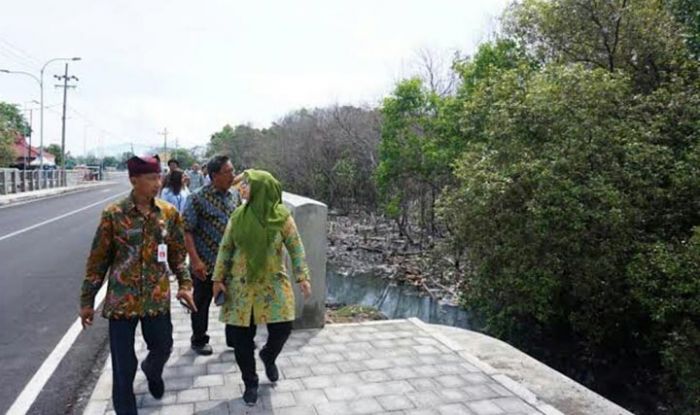 4.000 Mangrove di Banyuwangi Bakal Ditebang