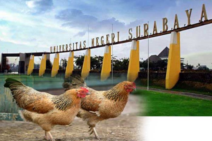 ​Stttt.... Ada Ayam Kampus Dijual Terang-terangan di Dekat Unesa