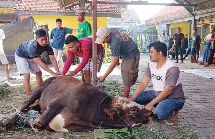 Momen Idul Adha 1443 H, Lapas Tuban Potong 2 Sapi dan 3 Kambing