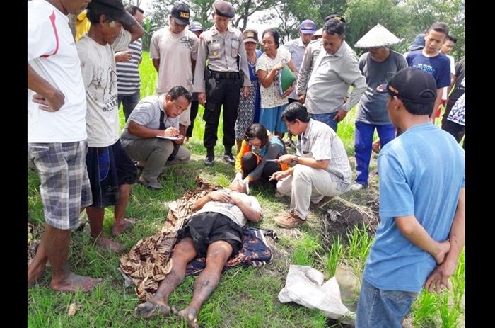 ​Warga Madiun Ditemukan Tidak Bernyawa di Sawah