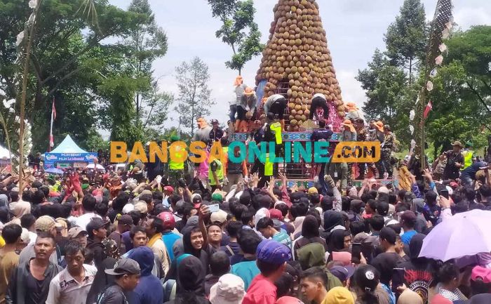 Kenduren Durian Wonosalam, 2.023 Buah Ludes dalam Sekejab