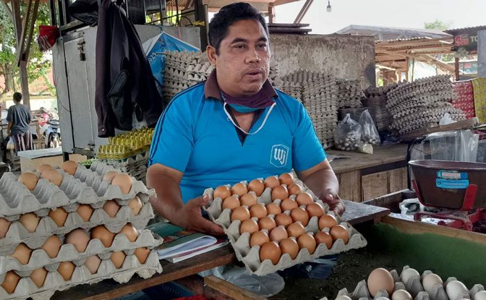 Heboh Telur Palsu di Kediri, Ternyata Telur Infertil