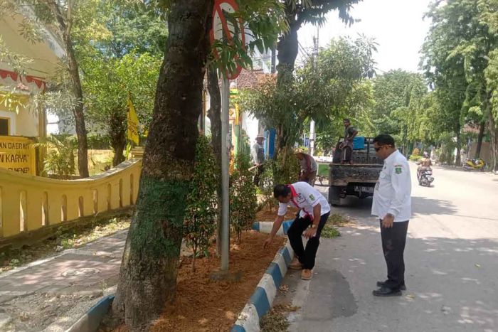 Perindah Kota, DLH Tanam Sejumlah Bunga di Rumija Sumenep