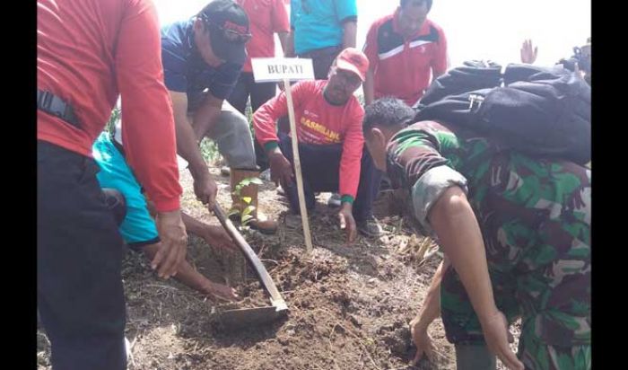 Bupati Tulungagung Pimpin Tanam 1000 Pohon di Tanggunggunung