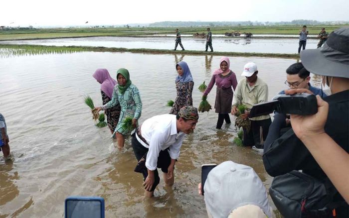 Kunker di Bangkalan, Mentan Ikut Tanam Padi