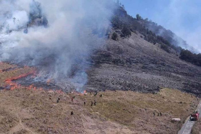 Terkait Kebakaran Bukit Teletubbies Bromo, Dimungkinkan Masih Ada Tersangka Lain