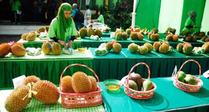 Bondowoso Gelar Festival Duren dan Alpukat