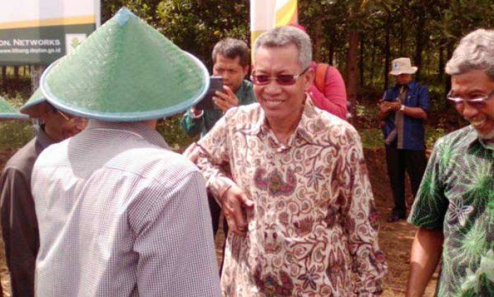 Berdayakan Lahan Kering Pacitan dengan Budidaya Hortikultura, Padi Gogo dan Kedelai Hitam