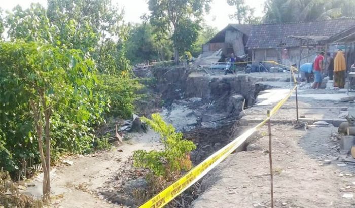 Bantaran Sungai Bengawan Solo di Lamongan Longsor