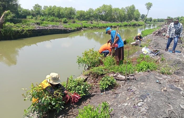 Peringati Hari Air Sedunia, Cargill Gresik Tanam 1.500 Mangrove untuk Filtrasi Air