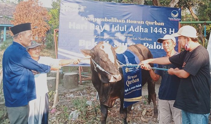 ​Ketua DPD NasDem Kabupaten Kediri Beri Satu Ekor Sapi untuk Takmir Mushola Al Ihsan