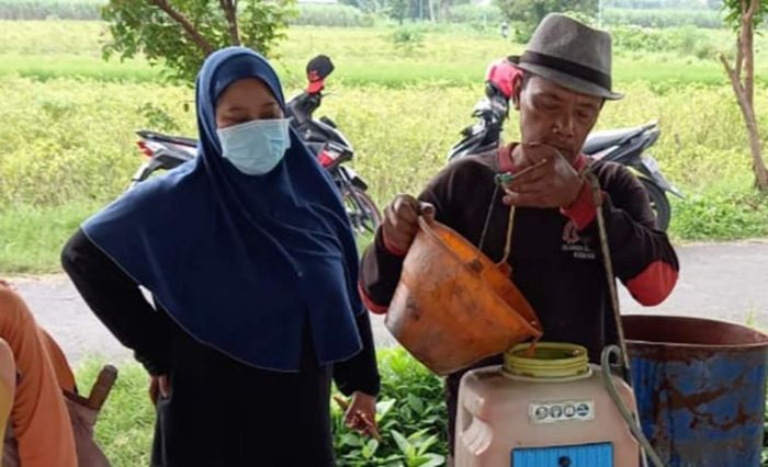 Yayuk Tegaskan Tak Pernah Sebutkan Luas Lahan yang Terserang Penyakit di Tarokan