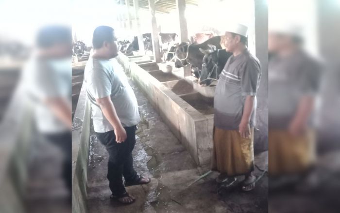 Politikus Senior Golkar Minta Pemkab Pasuruan Bentuk Satgas PMK