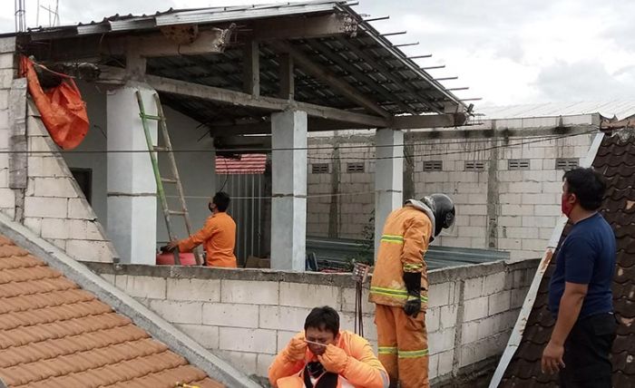 Resahkan Warga, BPBD Kota Madiun Musnahkan Sarang Tawon Ndas