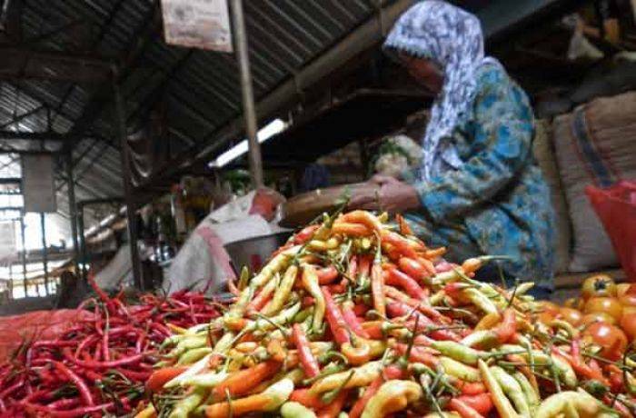 Harga Cabai di Tuban Capai Rp 60 Ribu per Kg