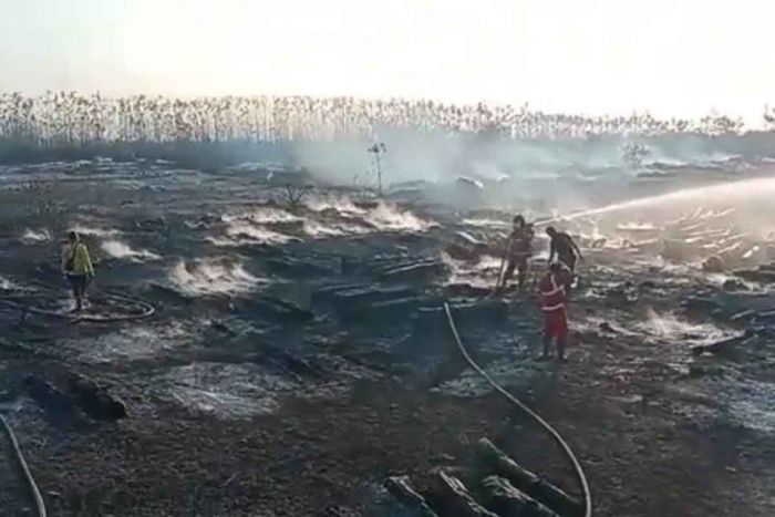 155 Hektare Lahan Kilang Minyak Tuban Hangus Terbakar, Kerugian Capai Rp75 Miliar